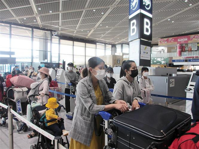 Dịch COVID-19: Đưa 350 công dân Việt Nam từ Nhật Bản về nước ảnh 1