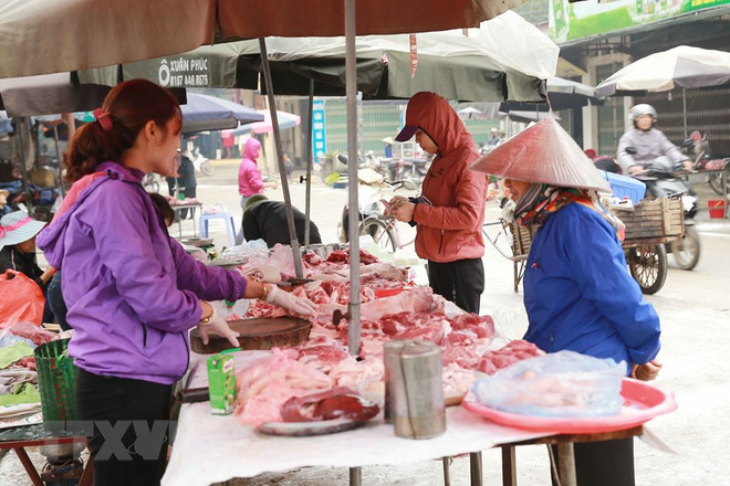 Người dân Đồng Tâm đang chung sức, nỗ lực xây dựng nông thôn mới ảnh 2