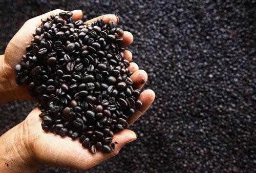 Nestlé khánh thành nhà máy sản xuất càphê viên nén tại Việt Nam ảnh 1