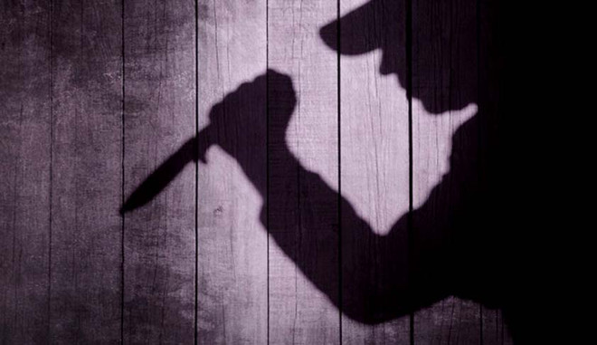 Hai vụ giết người táo tợn xảy ra trong một buổi sáng ở Hải Phòng ảnh 1