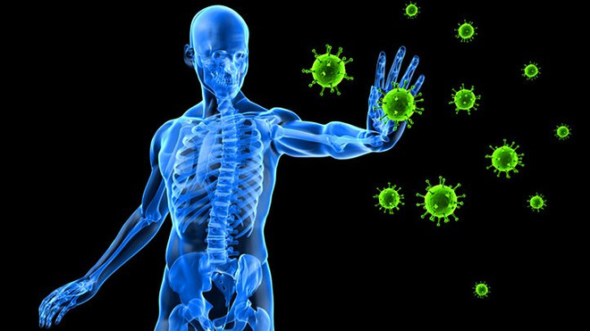Nhận diện virus ở chuột có thể tăng cường miễn dịch cho cơ thể ảnh 1