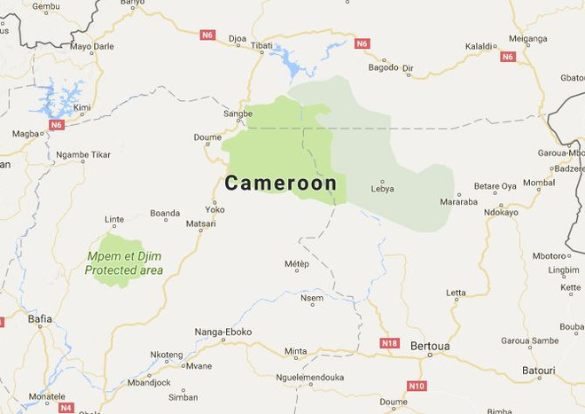 Ít nhất 6 người thiệt mạng sau 2 vụ tấn công tại Cameroon ảnh 1