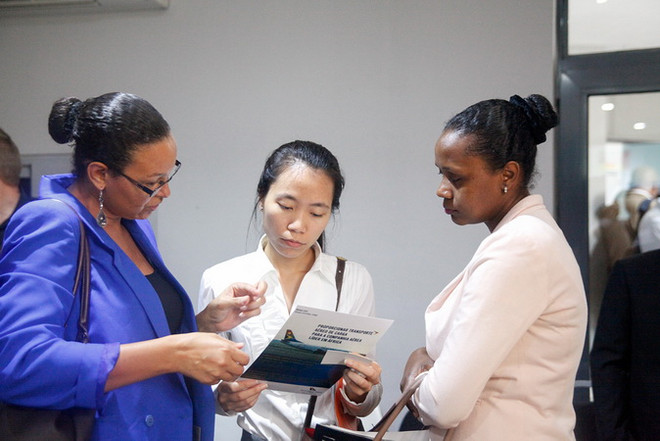 Tăng cường kết nối doanh nghiệp Việt Nam-Mozambique-Swaziland ảnh 2