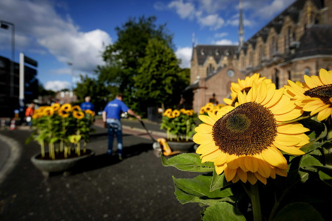 Vụ rơi máy bay MH17: 5 quốc gia tài trợ các thủ tục truy tố hình sự ảnh 1