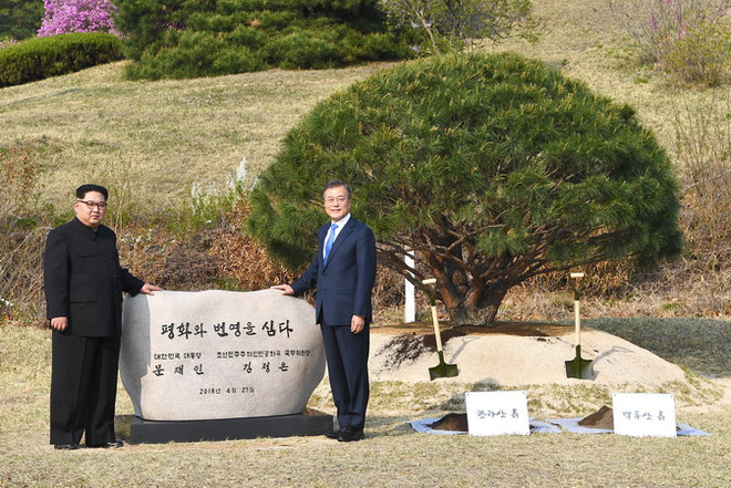 Tổng thống Hàn Quốc Moon Jae-in (phải) và nhà lãnh đạo Triều Tiên Kim Jong-un chụp ảnh lưu niệm sau khi trông cây thông hòa bình tại làng đình chiến Panmunjom ngày 27/4. (Nguồn: Yonhap/TTXVN) Tuyên bố chung Panmunjom: Khu phi quân sự thành "vùng hòa bình" ảnh 1