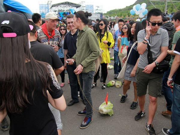 [Photo] Nghệ sĩ Trung Quốc dắt cải đi dạo để chống sự cô đơn ảnh 8