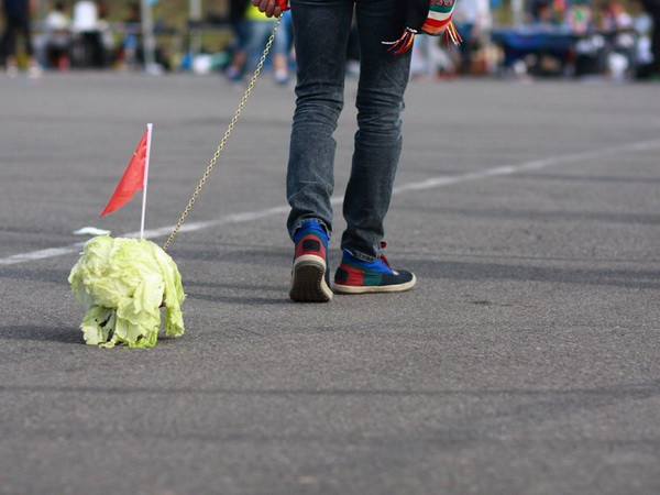 [Photo] Nghệ sĩ Trung Quốc dắt cải đi dạo để chống sự cô đơn ảnh 7