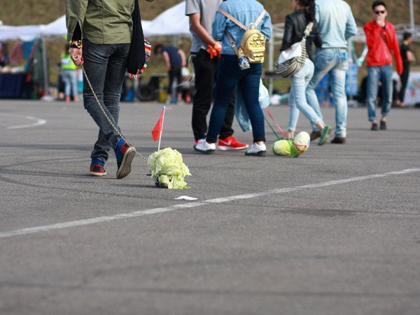[Photo] Nghệ sĩ Trung Quốc dắt cải đi dạo để chống sự cô đơn ảnh 5