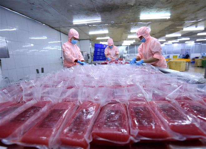 Trao đổi thương mại Việt Nam-Israel đạt 236 triệu USD trong 2 tháng ảnh 1