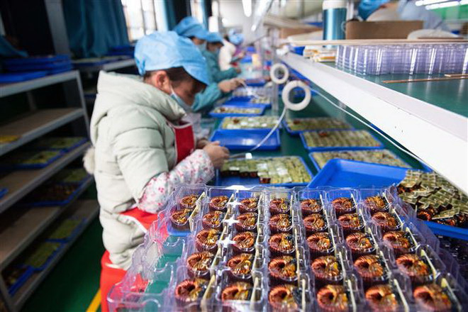 Tác động tiêu cực của COVID-19 đối với kinh tế thế giới ngày càng lớn ảnh 1