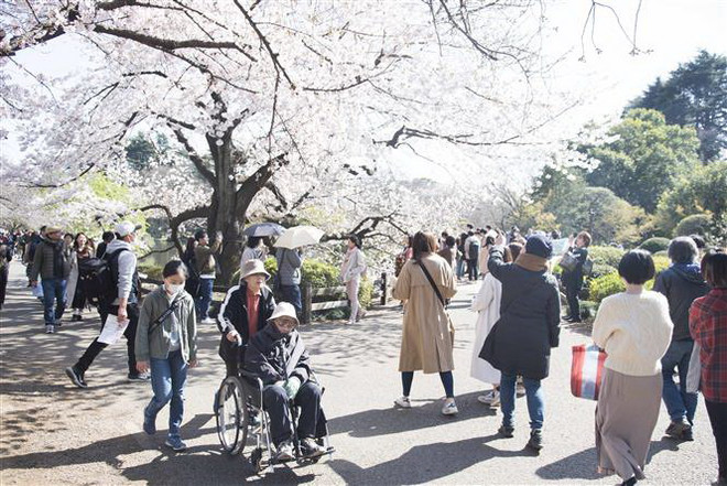 Nhật yêu cầu du khách từ Đông Nam Á, Trung Đông, châu Phi tự cách ly ảnh 1