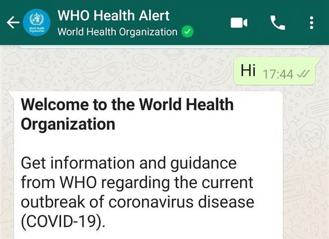 WHO sử dụng ứng dụng WhatsApp để thông tin chính thức về dịch COVID-19 ảnh 1