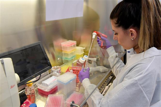 Chuyên gia: Sẽ không có miễn dịch suốt đời với SARS-CoV-2 ảnh 1