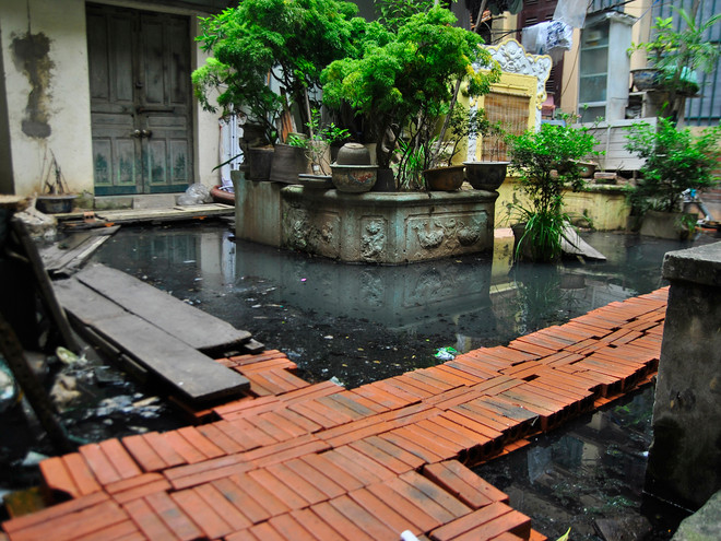 Hà Nội: Khu dân cư hơn một năm ngập chìm trong nước cống ảnh 12