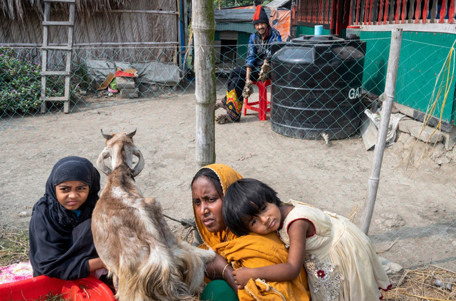 Người cây Bangladesh: 'Án chung thân' trong 'nhà tù cơ thể' ảnh 4