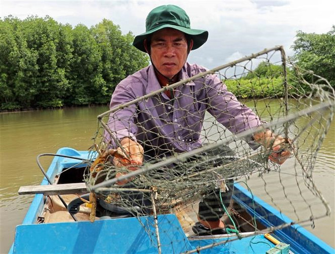 Nhận diện những nút thắt để 'cởi trói' cho thương hiệu Cua Cà Mau ảnh 2