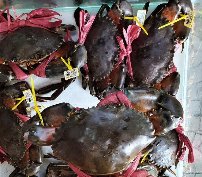 Nhận diện những nút thắt để 'cởi trói' cho thương hiệu Cua Cà Mau ảnh 3