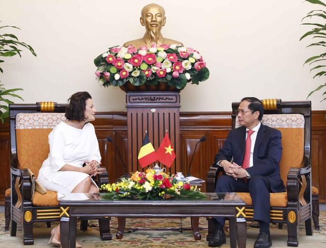 Đề nghị Bỉ sớm thông qua Hiệp định Bảo hộ Đầu tư Việt Nam-EU ảnh 1