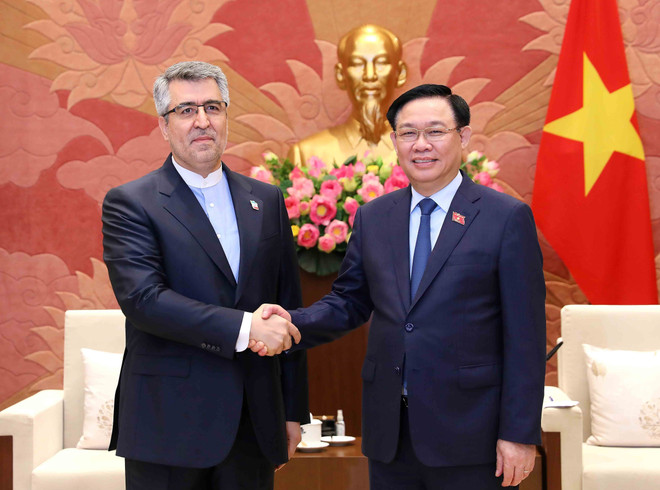 Làm sâu sắc hơn quan hệ giữa hai nước Việt Nam và Iran ảnh 1
