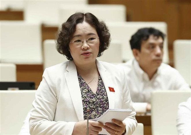 Cần cấp giấy tờ phù hợp cho người gốc Việt chưa xác định quốc tịch ảnh 2