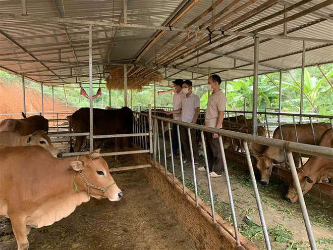 Hạn chế cao nhất sự trùng lặp nội dung chương trình mục tiêu quốc gia ảnh 2