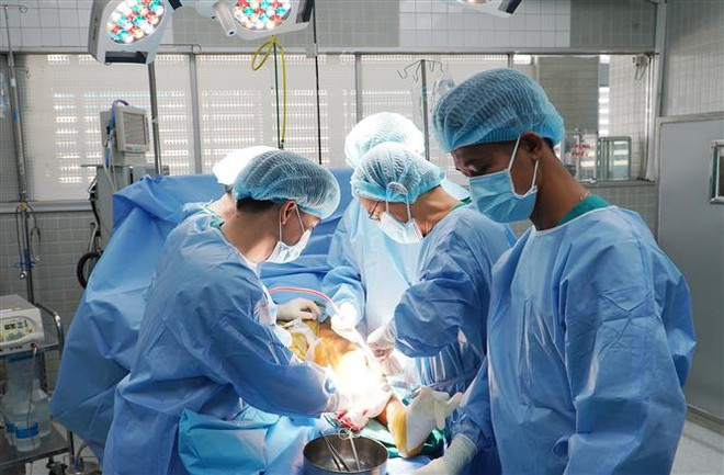 Ảnh minh họa. (Nguồn: TTXVN phát) Tế bào gốc tự thân - Tăng cơ hội hồi phục cho bệnh nhân đột quỵ não ảnh 1