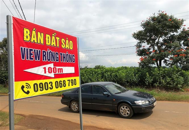 Hành nghề môi giới bất động sản cần tiến dần đến chuyên nghiệp ảnh 1