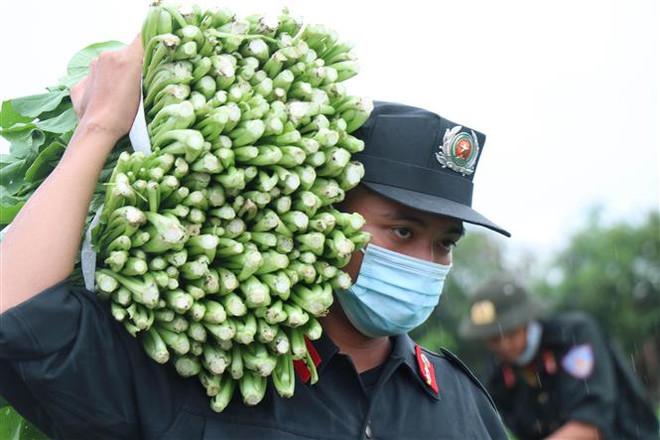 Cả nước đoàn kết, sát cánh cùng TP Hồ Chí Minh chống dịch COVID-19 ảnh 1