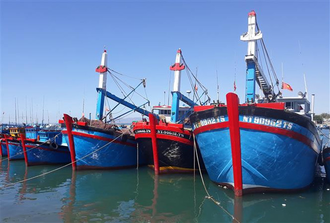 Quyết tâm gỡ 'thẻ vàng' IUU, tuyệt đối tránh nguy cơ bị 'thẻ đỏ' ảnh 2