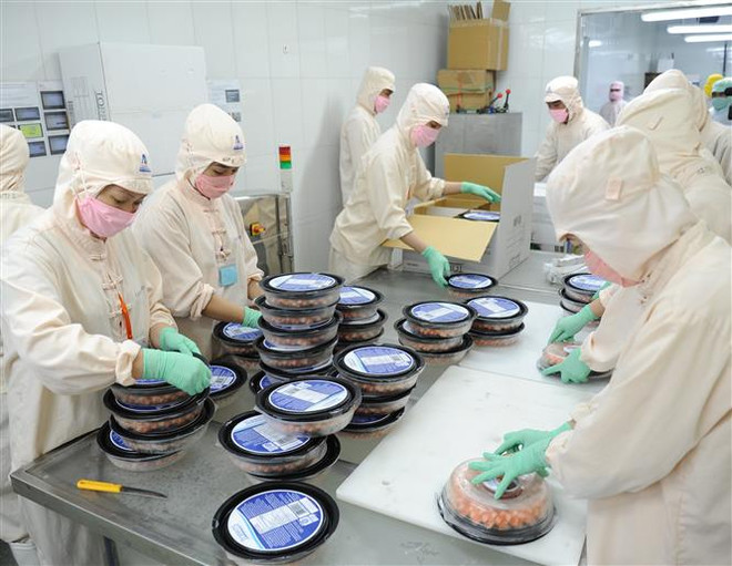 Cà Mau đẩy mạnh xuất khẩu trong điều kiện có dịch COVID-19 ảnh 1