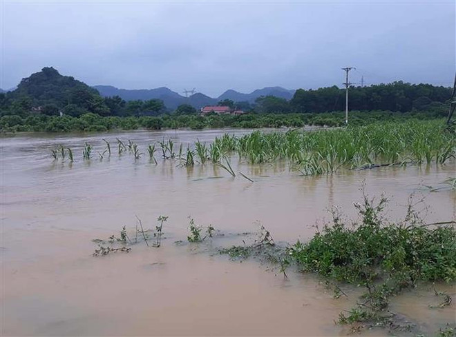 Dự báo có những cơn bão mạnh ảnh hưởng trực tiếp đến Việt Nam ảnh 1