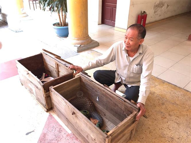 Cao Bằng: Bắt giữ đối tượng buôn bán hai cá thể tê tê sống ảnh 1