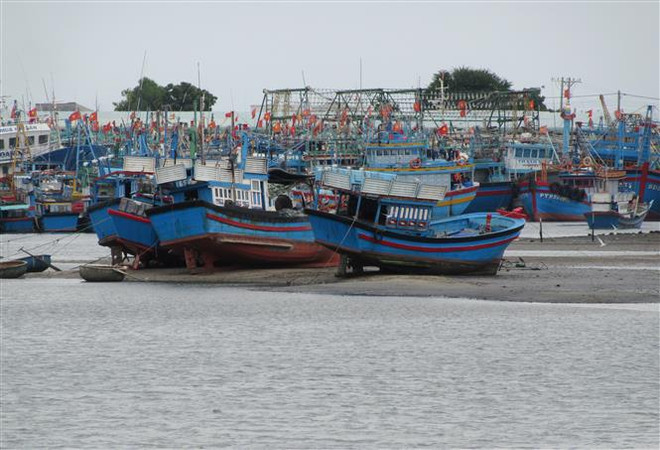 Ninh Thuận với giải pháp giúp ngư dân khai thác thủy sản hợp pháp ảnh 1