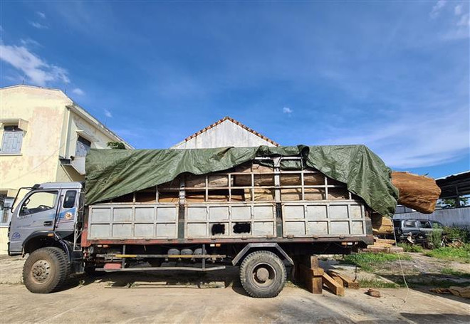 Gia Lai: Rừng giàu Kbang 'chảy máu' vô cùng nghiêm trọng ảnh 2