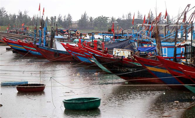 (Ảnh minh họa: Công Tường/TTXVN) Hải Phòng: Theo dõi chặt chẽ diễn biến của cơn bão số 3 ảnh 1