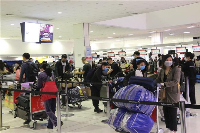Đưa 350 công dân Việt Nam từ Australia về nước an toàn ảnh 1