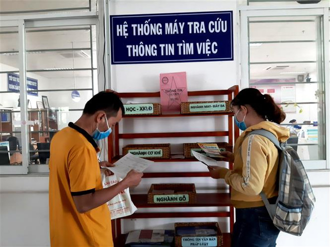 Doanh nghiệp 'đỏ mắt' săn lao động kỹ thuật giỏi ngoại ngữ ảnh 1