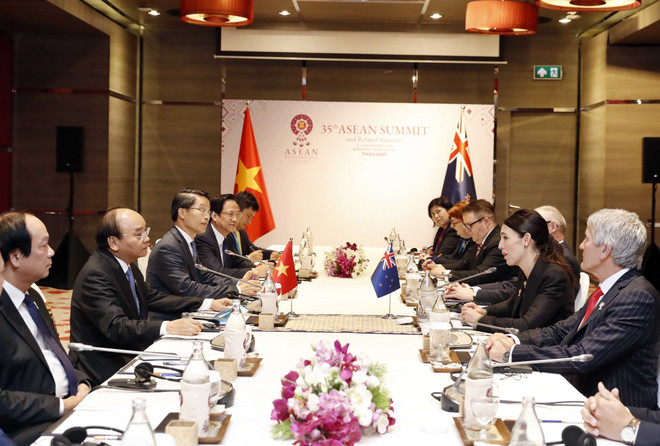 Việt Nam-New Zealand hướng tới kim ngạch thương mại 1,7 tỷ USD ảnh 1