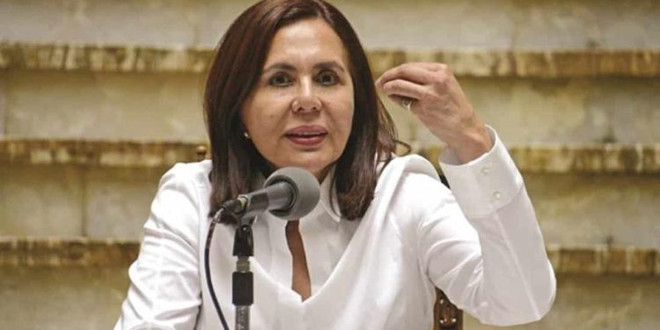 Ngoại trưởng Bolivia có kết quả dương tính với virus SARS-CoV-2 ảnh 1