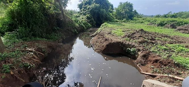 Người dân bức xúc vì trang trại lợn xả thải trực tiếp ra môi trường ảnh 1