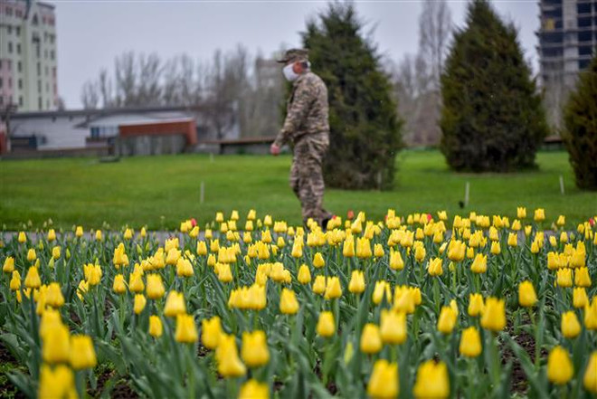 Nga hỗ trợ các nước Liên minh Kinh tế Á-Âu chống dịch COVID-19 ảnh 1