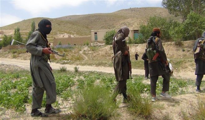 Lệnh ngừng bắn kéo dài 3 ngày ở Afghanistan bắt đầu có hiệu lực ảnh 1