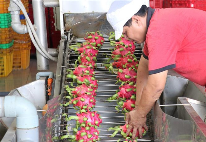 Tạo thế và lực mới trong hoạt động thương mại giữa Việt Nam-Hoa Kỳ ảnh 2