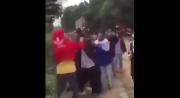 Nghệ An: Nhóm học sinh rủ nhau 'đánh hội đồng' nữ sinh lớp 8 ảnh 1