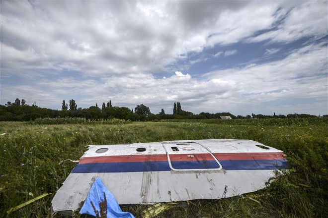 Mảnh vỡ máy bay MH17 trên cánh đồng gần làng Grabove, khu vực Donetsk, Ukraine, ngày 20/7/2014. (Nguồn: AFP/TTXVN) Vụ rơi máy bay MH17: Tòa án Hà Lan dự kiến chưa đưa ra phán quyết ảnh 1