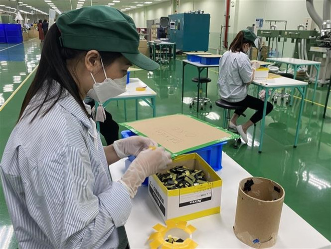 Việt Nam cần tận dụng cơ hội 'dân số vàng' để phát triển kinh tế ảnh 1