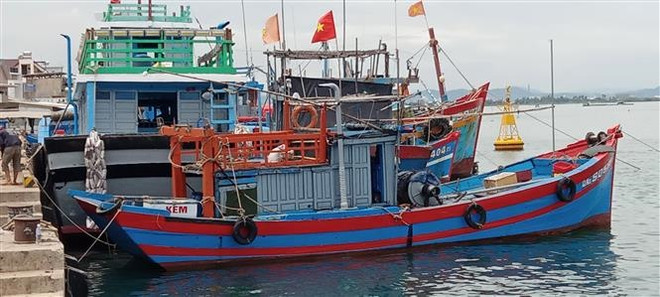 Quảng Nam: Sớm chấm dứt nuôi thủy sản trong khu neo đậu tàu cá ảnh 1