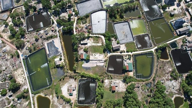 'Dẫn mặn nhập đồng' để nuôi tôm: Người dân chịu cảnh 'khát nước sạch' ảnh 2