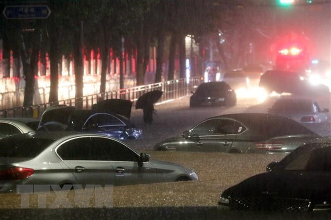 Thế giới trước nguy cơ gia tăng 'trầm cảm vì biến đổi khí hậu' ảnh 2