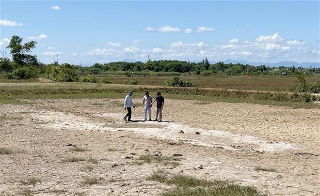 'Dẫn mặn nhập đồng' để nuôi tôm: Người dân chịu cảnh 'khát nước sạch' ảnh 1